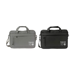 Portafolio Carry